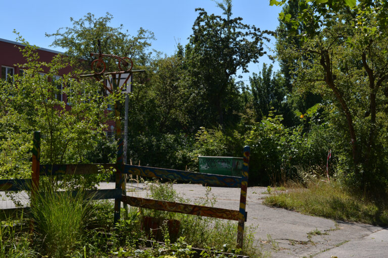 Symbolbild Umwelt Natur und Stadtklima, Grüner Innenhof, Basketballkorb, Kontainer